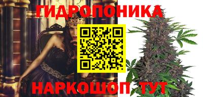 альфа пвп Славгород