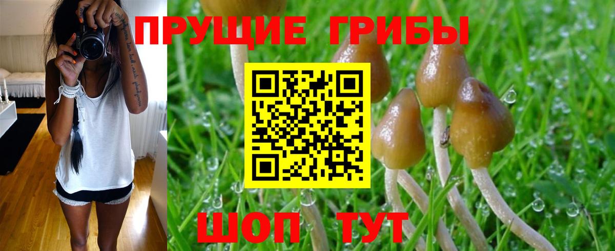 Галлюциногенные грибы MAGIC MUSHROOMS  Вход с VPN  Назрань  Галлюциногенные грибы Magic Shrooms 