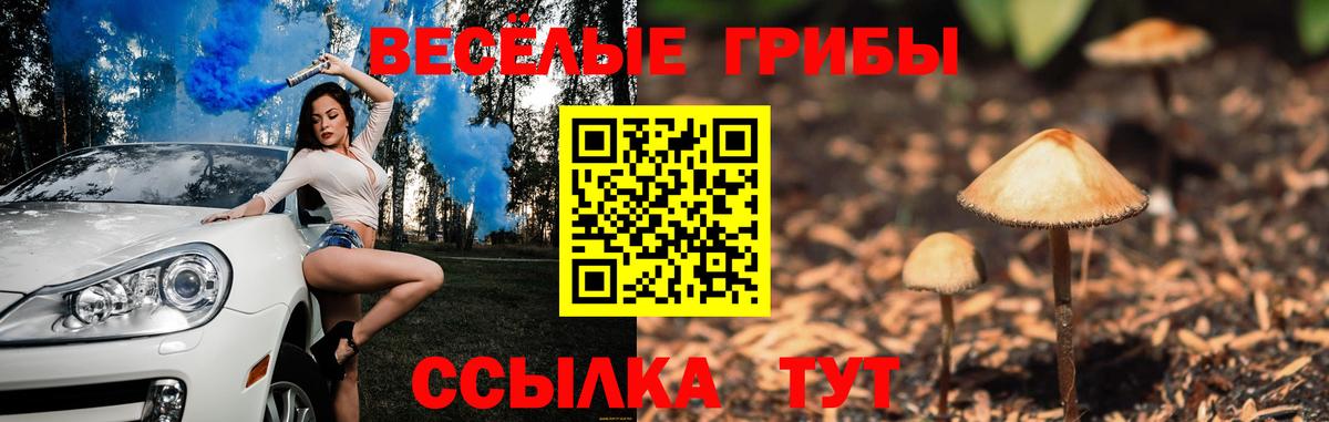 Галлюциногенные грибы Psilocybe Назрань